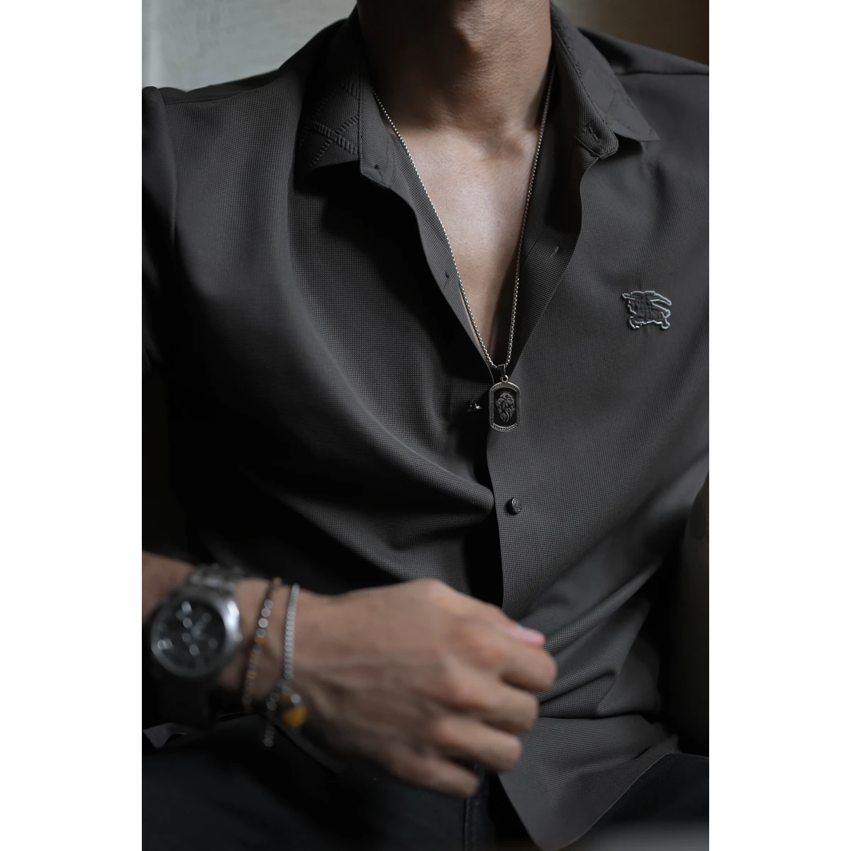 سلسلة أسد 2
